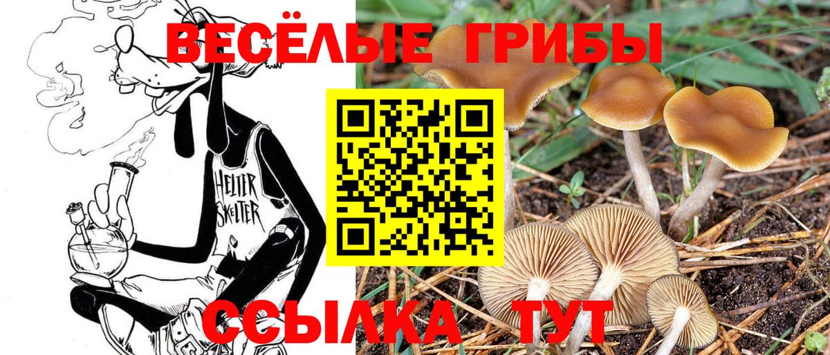 Галлюциногенные грибы мухоморы  Галлюциногенные грибы Psilocybe  Вход с VPN  Вятские Поляны 