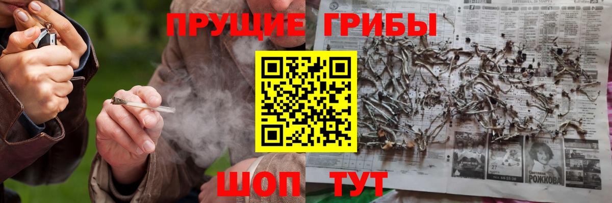 Псилоцибиновые грибы Psilocybine cubensis Вятские Поляны